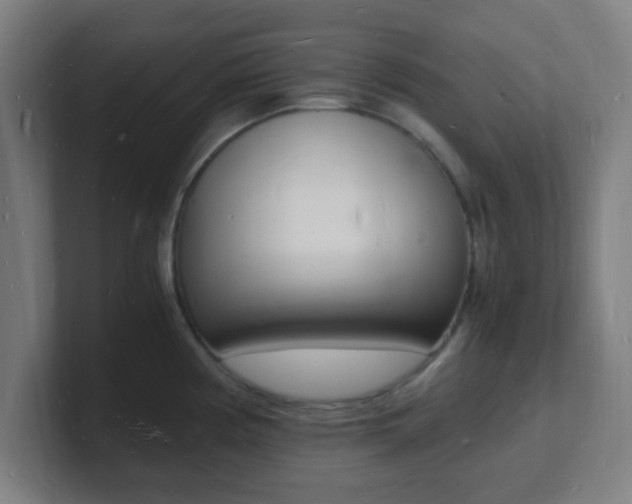 X0000101671194200807171329