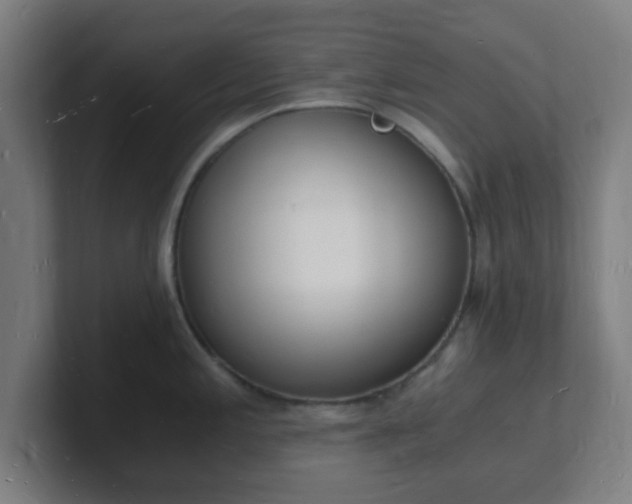 X0000101671197200807171329