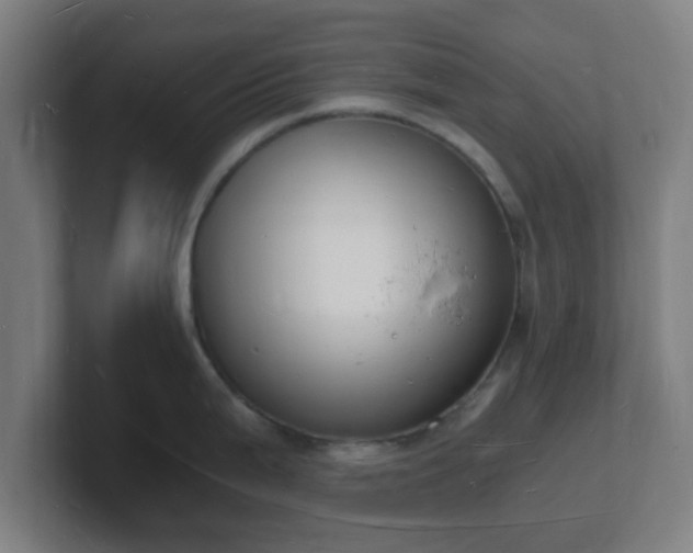 X0000101671199200807171329
