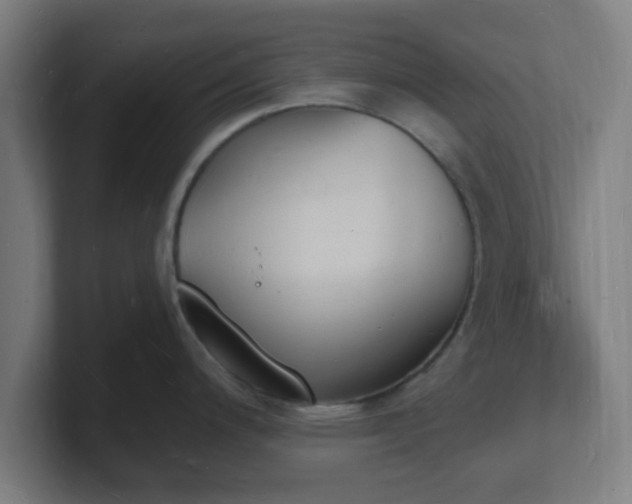 X0000101671200200807171329