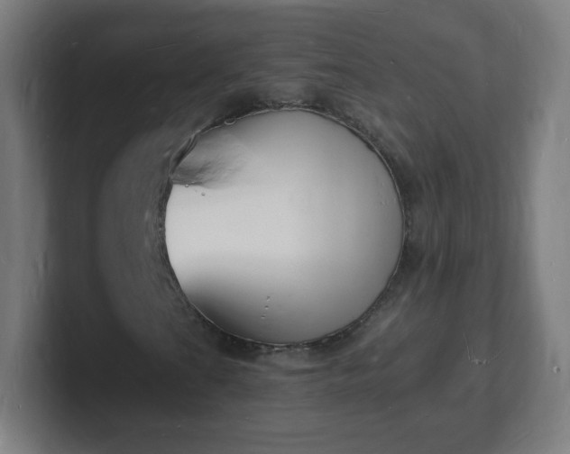 X0000101671201200807171328