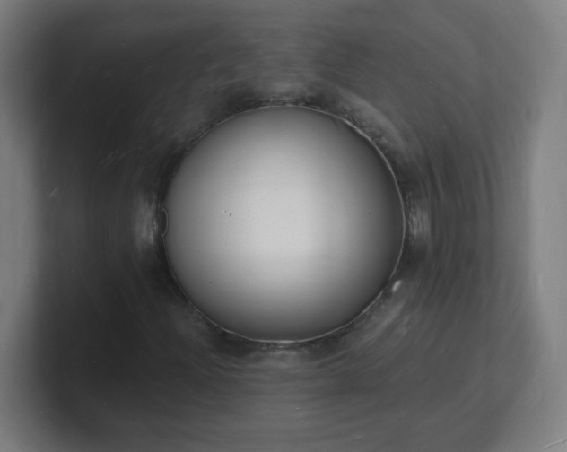 X0000101671204200807171328