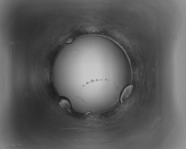 X0000101671205200807171328