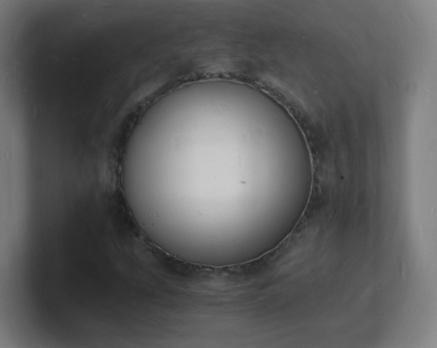X0000101671207200807171328