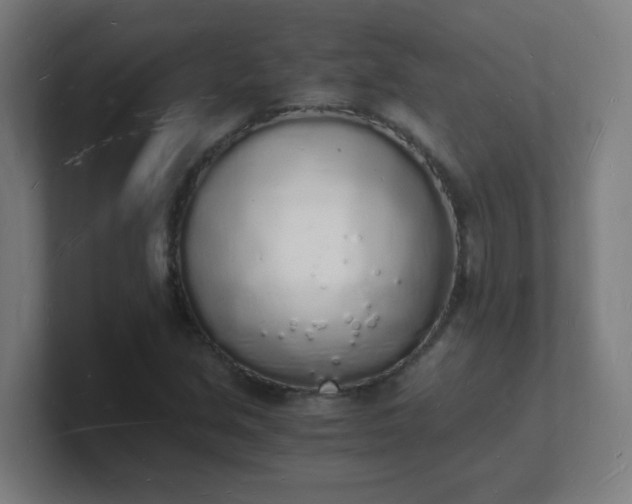 X0000101671213200807171328