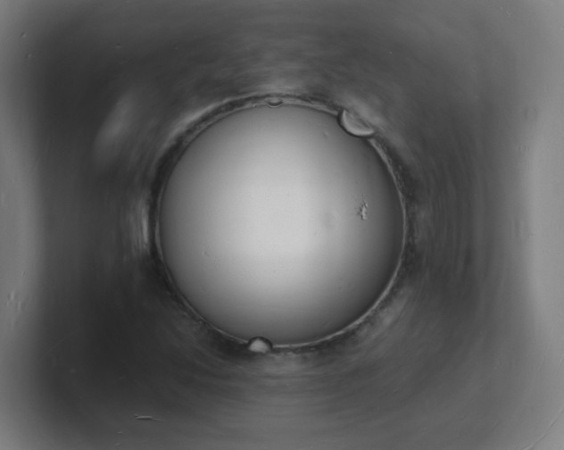 X0000101671214200807171328