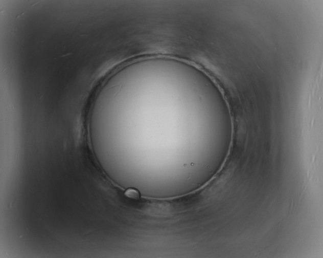 X0000101671215200807171328