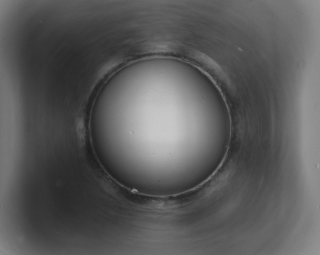 X0000101671218200807171328
