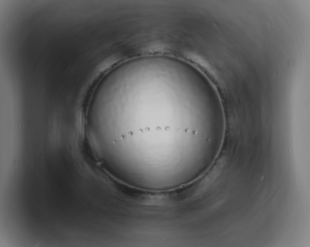 X0000101671219200807171329