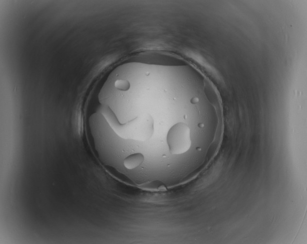 X0000101671221200807171329