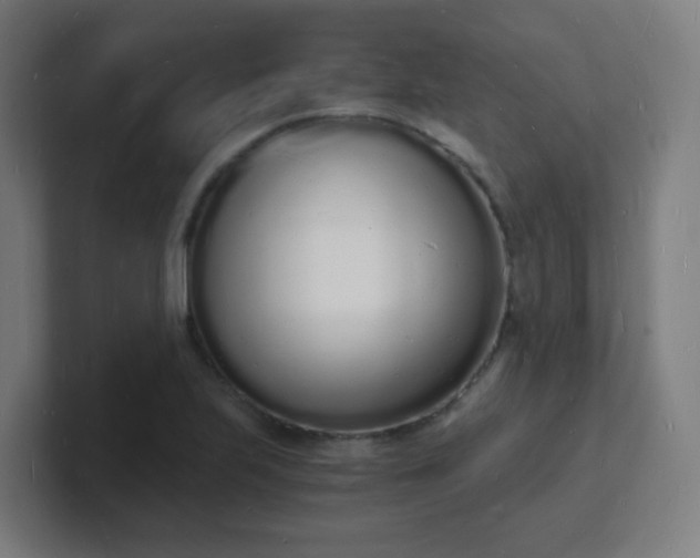 X0000101671223200807171329