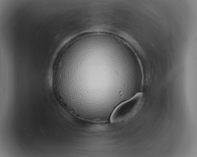 X0000101671224200807171329