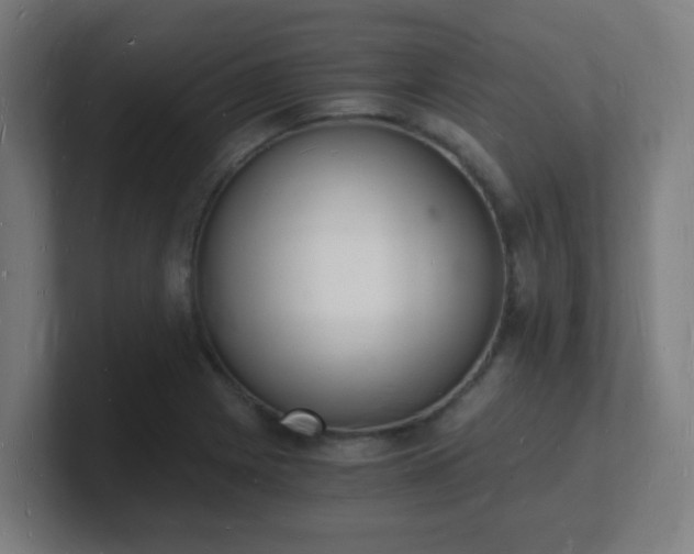X0000101671225200807171329