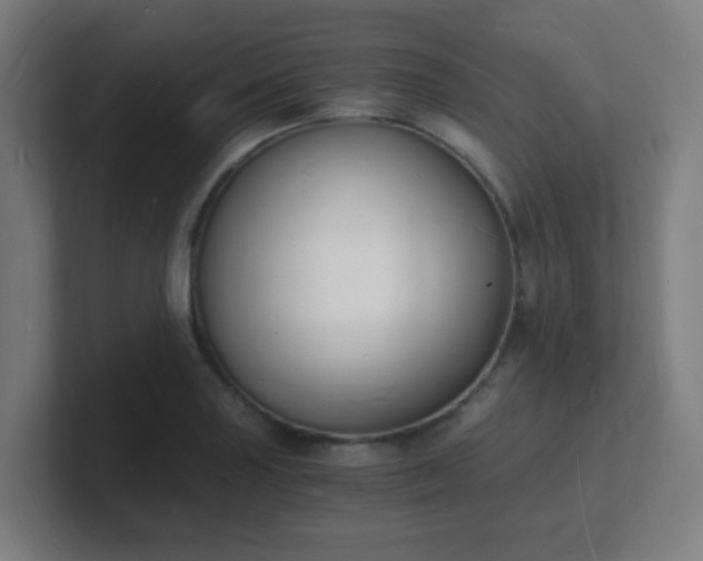 X0000101671227200807171329