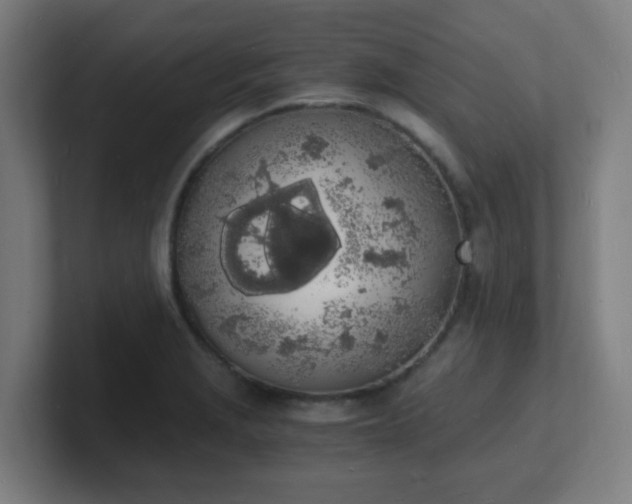 X0000101671229200807171329