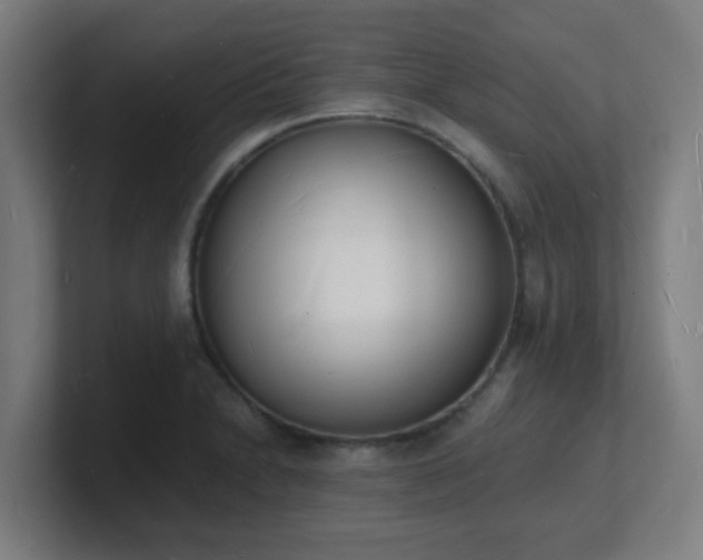 X0000101671230200807171329