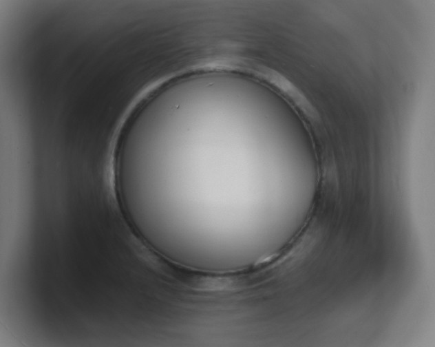 X0000101671232200807171329