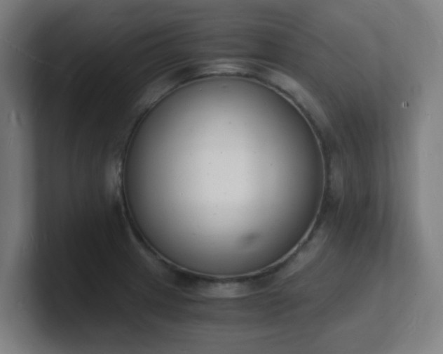 X0000101671233200807171329
