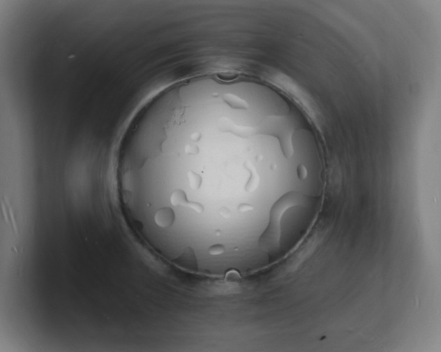 X0000101671235200807171329