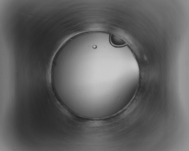X0000101671236200807171329
