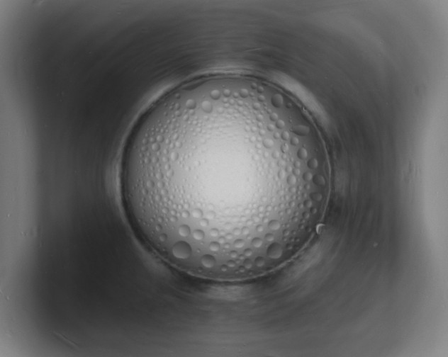 X0000101671237200807171329