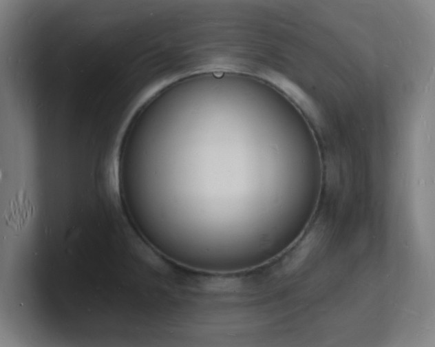 X0000101671238200807171329