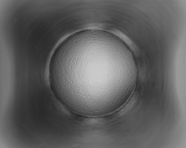X0000101671240200807171329