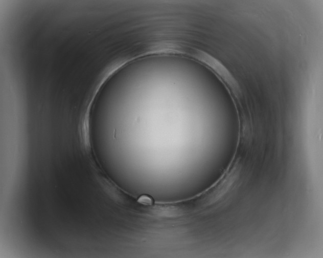 X0000101671242200807171329