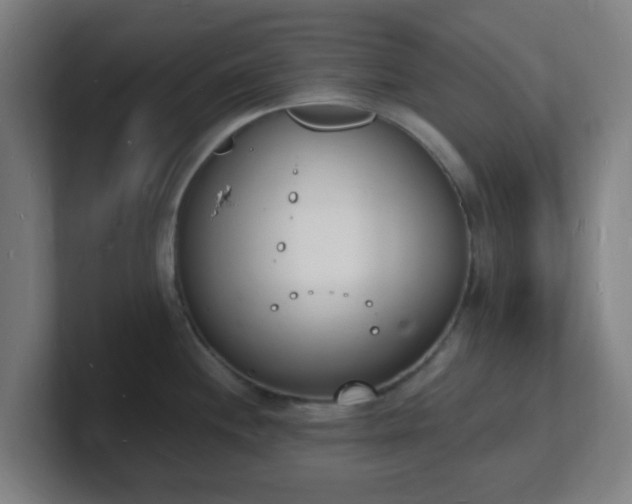 X0000101671244200807171329