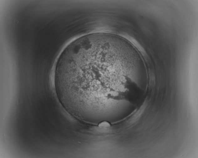 X0000101671246200807171329