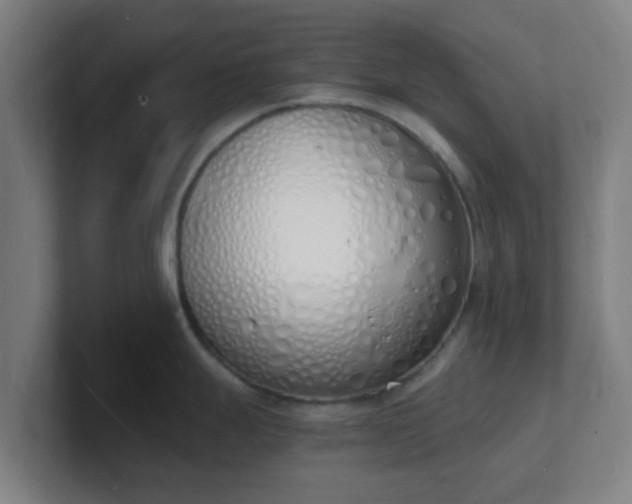 X0000101671247200807171329