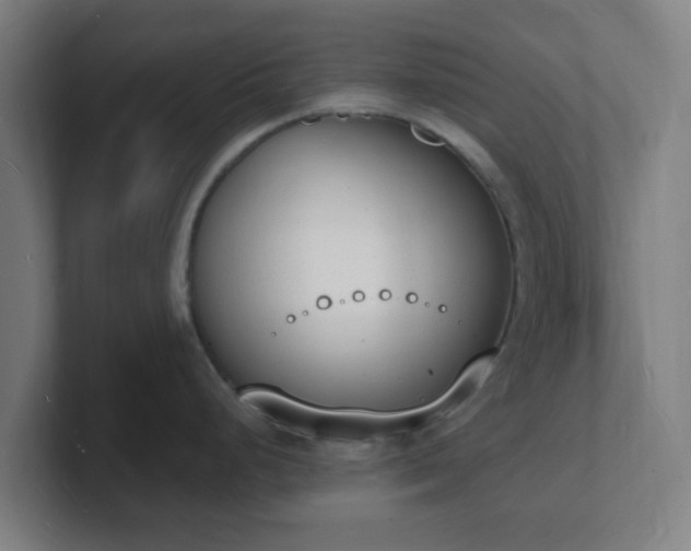 X0000101671248200807171329