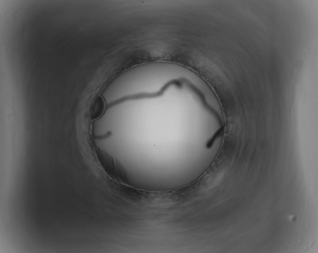 X0000101671249200807171328