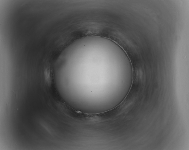 X0000101671250200807171328