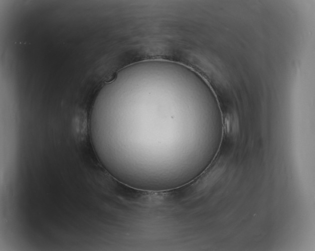 X0000101671251200807171328
