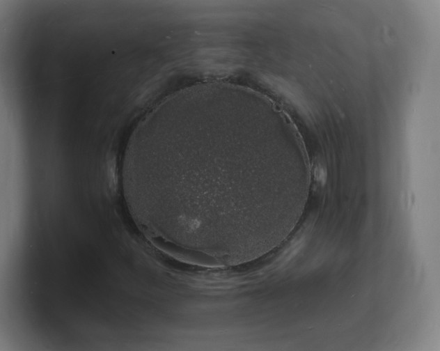 X0000101671252200807171328
