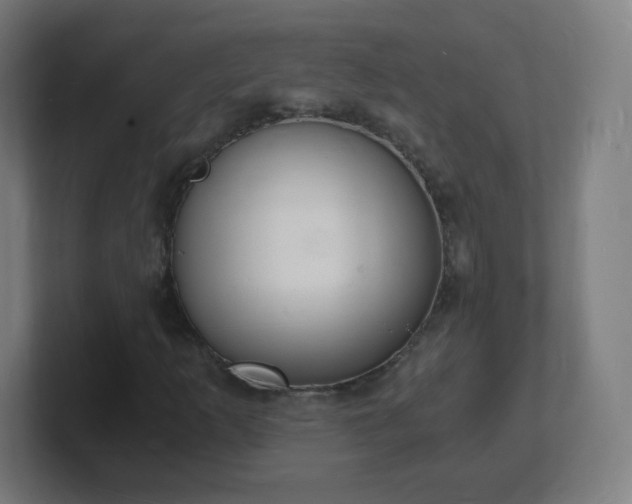 X0000101671253200807171328