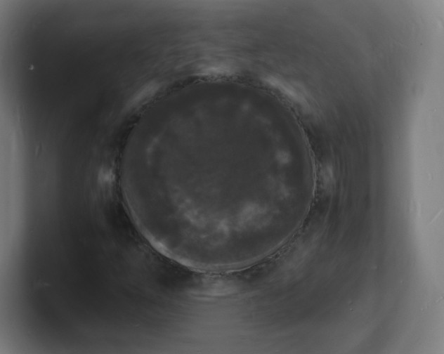 X0000101671254200807171328