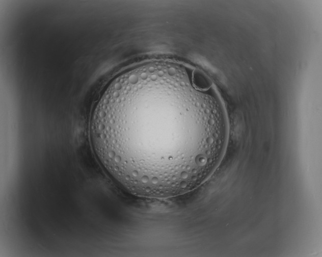 X0000101671255200807171328