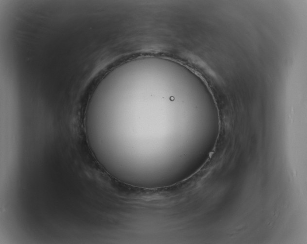 X0000101671256200807171328