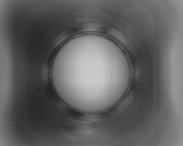 X0000101671258200807171328