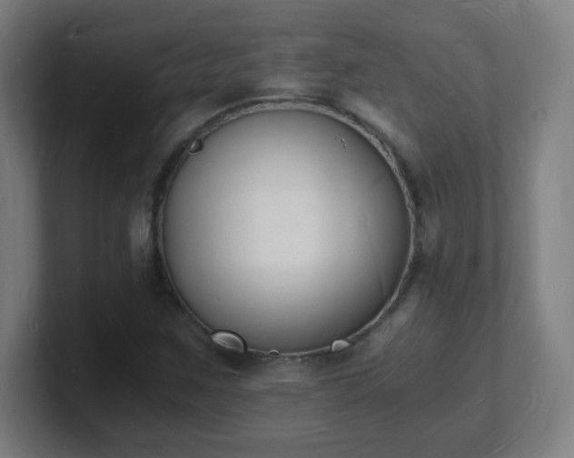X0000101671259200807171328