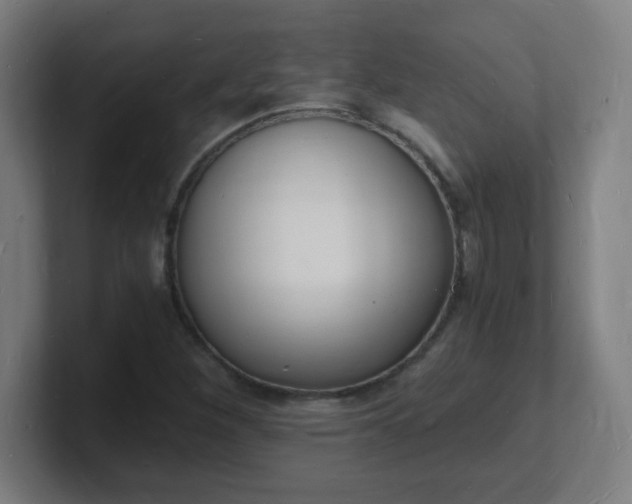 X0000101671260200807171328