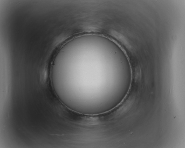 X0000101671261200807171328