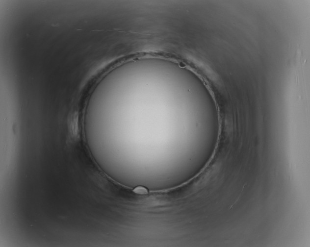X0000101671262200807171328