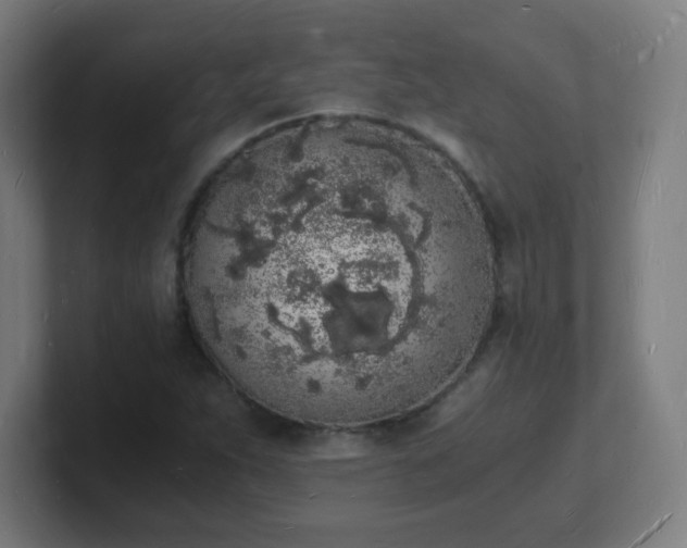 X0000101671263200807171328