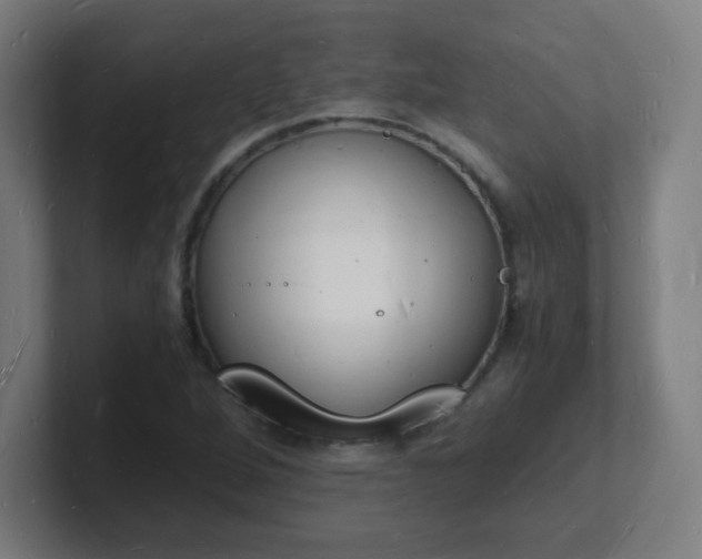 X0000101671264200807171328