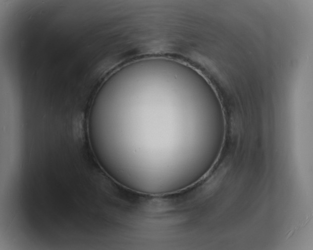 X0000101671265200807171328