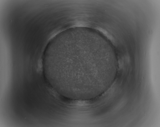X0000101671266200807171328