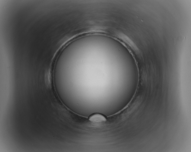 X0000101671268200807171328